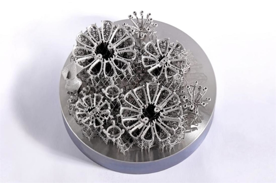 Impresora de cerámica de curado ligera del metal 3D de la impresora del mudo dental RITON 3d de Auto FM