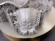 El SLM industrial automático de la impresora del titanio 3D del grado corona los soportes dentales